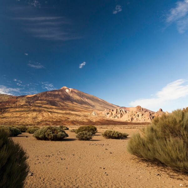 Paisaje del Teide desde Las Cañadas con matorral volcánico en primer plano en Tenerife
