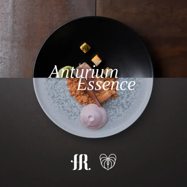 Gourmet dinner Anturium Essence