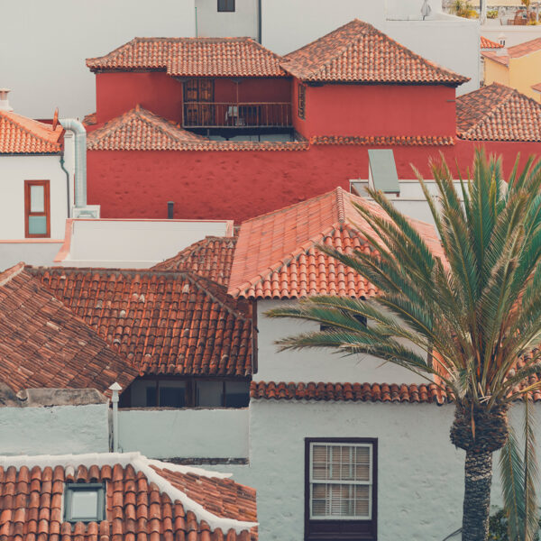 Tejados tradicionales de Garachico con arquitectura volcánica y palmera