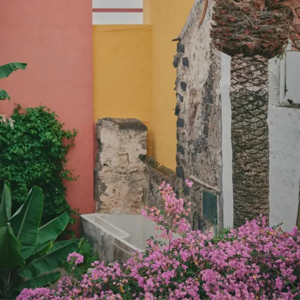 Rincón de Garachico con arquitectura tradicional y vegetación local